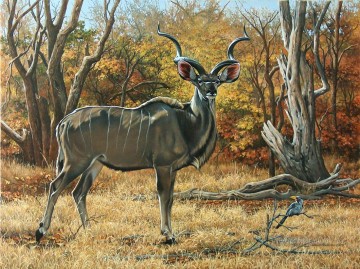  deer Art - deer kudu bull